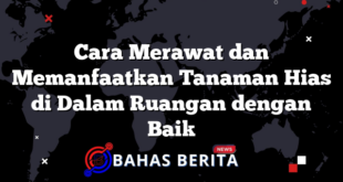 Cara Merawat dan Memanfaatkan Tanaman Hias di Dalam Ruangan dengan Baik