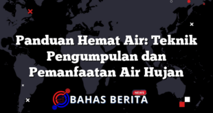 Panduan Hemat Air: Teknik Pengumpulan dan Pemanfaatan Air Hujan