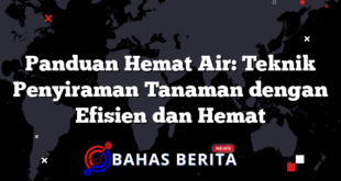 Panduan Hemat Air: Teknik Penyiraman Tanaman dengan Efisien dan Hemat