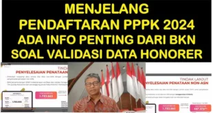 Pendaftaran PPPK 2024 bagi Non ASN: Kesempatan Emas bagi Tenaga Honorer