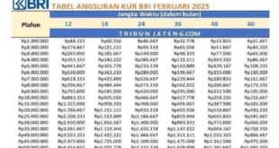 syarat kur bri 2025