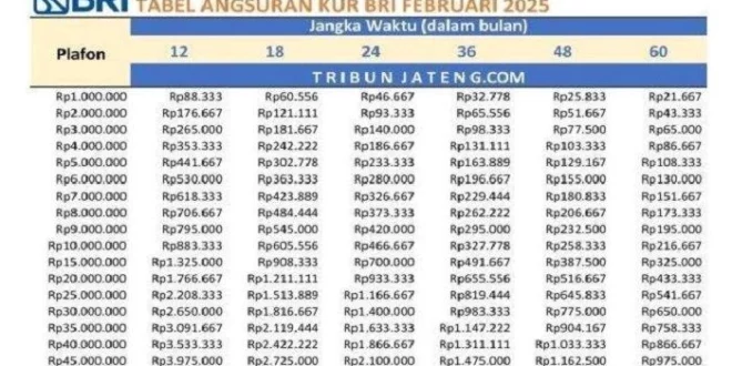 syarat kur bri 2025
