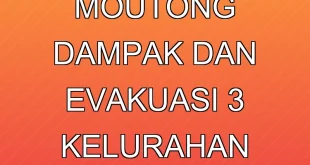 Banjir Parigi Moutong: Dampak dan Evakuasi 3 Kelurahan Terdampak