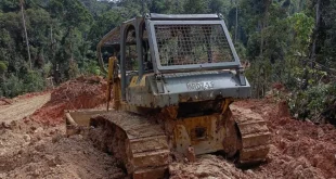 Bukti Penyerobotan Lahan Transmigrasi Sebuku oleh Tambang Batu Bara Ilegal