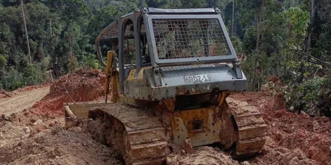 Bukti Penyerobotan Lahan Transmigrasi Sebuku oleh Tambang Batu Bara Ilegal