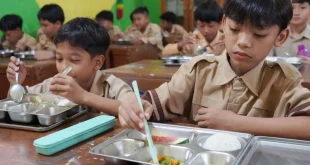 Evaluasi Pemerintah Kasus Keracunan Makanan MBG Terbaru