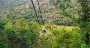 Kereta Gantung Jatuh di Sri Lanka, 7 Biksu Buddha Tewas