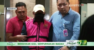 MA Batalkan Vonis Korporasi Kasus CPO: Analisis Terbaru