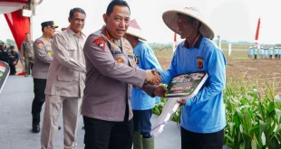 Menko Zulhas & Kapolri Panen Raya Jagung Perkuat Ketahanan Pangan
