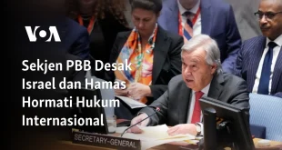 Pakar PBB Tekan FIFA & UEFA Terkait Hukum Israel Terbaru