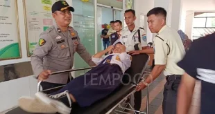 Tindak Lanjut Kasus Keracunan MBG, Pemerintah Tutup Dapur Produksi