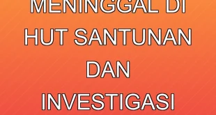 3 Prajurit TNI Meninggal di HUT, Santunan dan Investigasi Resmi