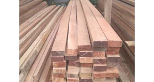 4.610 Kubik Kayu Ilegal Disita di Gresik, Negara Rugi Rp240 Miliar