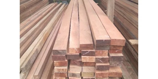 4.610 Kubik Kayu Ilegal Disita di Gresik, Negara Rugi Rp240 Miliar