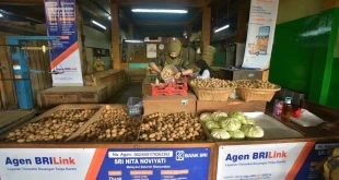 AgenBRILink di Mentawai: Solusi Inklusi Keuangan dan Pertumbuhan UMKM