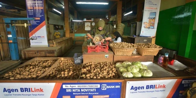 AgenBRILink di Mentawai: Solusi Inklusi Keuangan dan Pertumbuhan UMKM