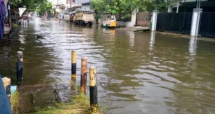 Agustina Tinjau Titik Banjir, Prioritaskan Bantuan Darurat