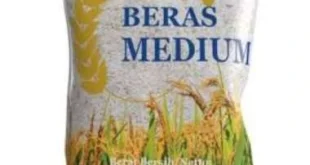 Analisis Keuangan Bulog Siapkan Beras Premium Program MBG 2025