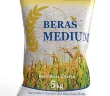 Analisis Keuangan Bulog Siapkan Beras Premium Program MBG 2025