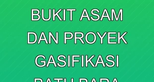 Analisis Keuangan PT Bukit Asam dan Proyek Gasifikasi Batu Bara 2025