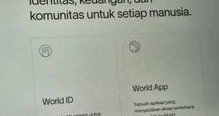 Analisis Pembekuan Izin TikTok oleh Kominfo hingga 2025