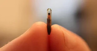 Apakah Warga Indonesia Gunakan Implant Microchip untuk Bayar Tap Cash?