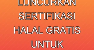 BPJPH Luncurkan Sertifikasi Halal Gratis untuk Warteg 2025