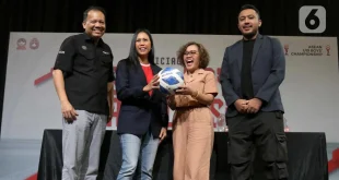 Dampak Gugurnya Ansett & PanAm 2025: Analisis Finansial & Ekonomi