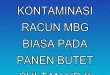 Dampak Kontaminasi Racun MBG Biasa pada Panen Butet Sultan HB X