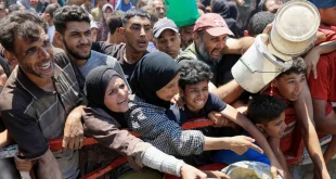 Dampak Serangan Israel: 13 Perpustakaan Gaza Hancur 2 Tahun Terakhir