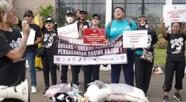 DPRD DKI Dukung Pergub Larangan Dagang Daging Anjing & Kucing