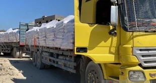 Gencatan Senjata dan Konvoi Bantuan Kemanusiaan Gaza Terbaru