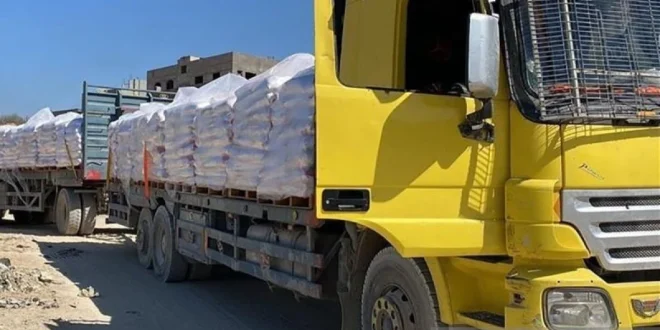 Gencatan Senjata dan Konvoi Bantuan Kemanusiaan Gaza Terbaru