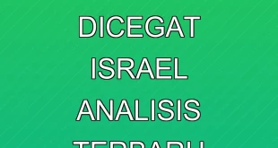 Global Sumud Flotilla Dicegat Israel: Analisis Terbaru Konflik Gaza