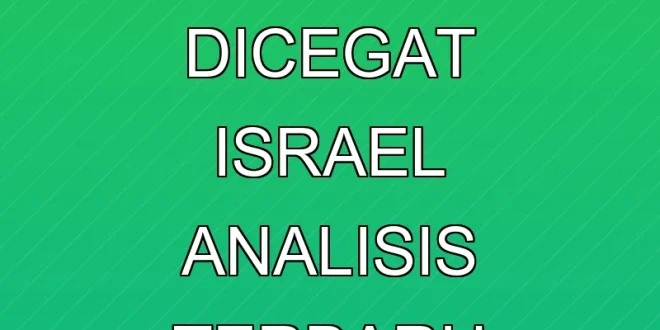 Global Sumud Flotilla Dicegat Israel: Analisis Terbaru Konflik Gaza