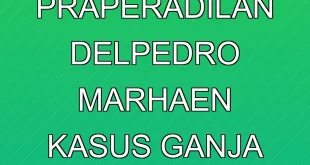 Hakim Tolak Praperadilan Delpedro Marhaen, Kasus Ganja Berlanjut