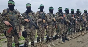 Hamas Bebaskan Sandera: Gencatan Senjata dan Perdamaian Gaza 2025