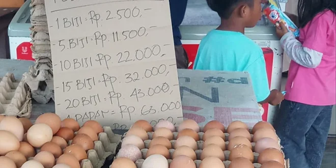 Harga Telur Ayam Mamberamo Tengah Rp 100 Ribu, Dampak Ekonomi 2025