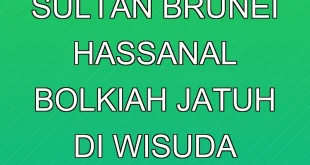 Hoaks Viral Sultan Brunei Hassanal Bolkiah Jatuh di Wisuda Terbantahkan