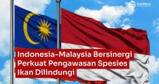 Indonesia Malaysia Perkuat Pengawasan Ikan Dilindungi & Telur Penyu