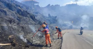Kebakaran Lereng Gunung Batur Bali Hanguskan 9,8 Hektar