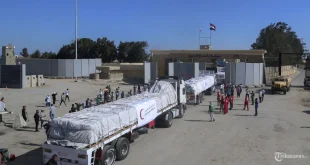 Klarifikasi Pengiriman Pasukan RI ke Gaza Bersama Mesir Turki Azerbaijan