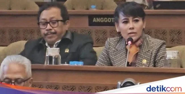 Komisi II DPR Panggil KPU soal Private Jet Rp46 M Pemilu 2025