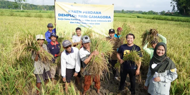 Konflik Gaza & Panen Padi Prancis: Analisis Berita Terkini