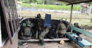 Kontak Tembak Intan Jaya: TNI Tewaskan 14 Anggota OPM Terbaru