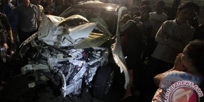 Kronologi Kecelakaan Pohon Tumbang Tewaskan Eks Direktur Danareksa