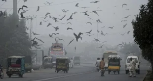 Lahore Hadapi Kualitas Udara Terburuk Dunia Tahun 2025