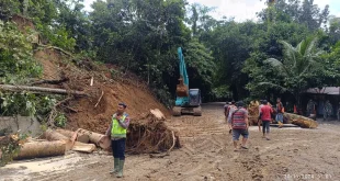 Longsor Tambang Freeport Papua, 1 Jenazah Dievakuasi, 4 Masih Dicari