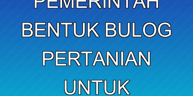 Nelayan Minta Pemerintah Bentuk Bulog Pertanian untuk Stabilkan Harga