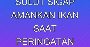 Nelayan Sulut Sigap Amankan Ikan Saat Peringatan Tsunami BMKG